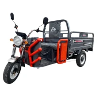Грузовой электротрицикл Maikaolin