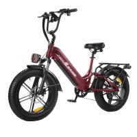 Электровелосипед SAIGE Rail 5