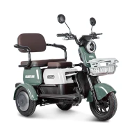 Электротрицикл Rutrike Gelbert Sun 48V/60V 650Вт Зелено-белый